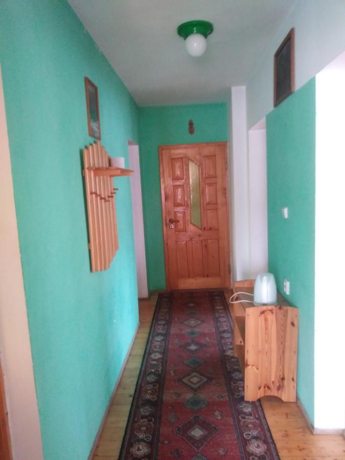 Апартаменты Agroturystyka Boguska Завоя Экстерьер фото