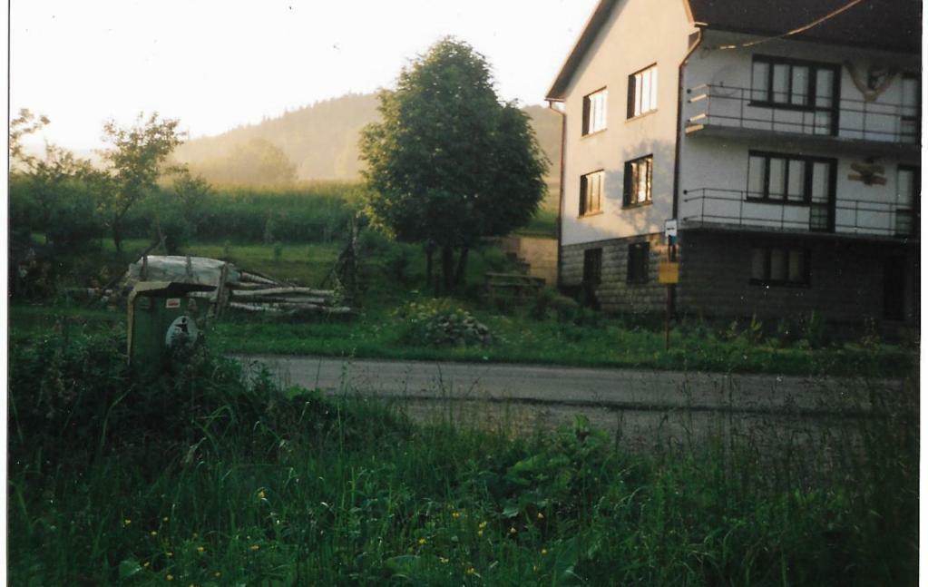 Апартаменты Agroturystyka Boguska Завоя Экстерьер фото